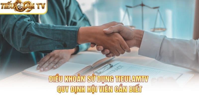 Điều Khoản Sử Dụng