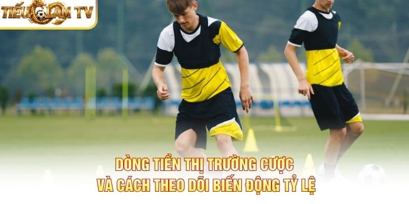 Dòng Tiền Thị Trường Cược Dòng Tiền Thị Trường Cược