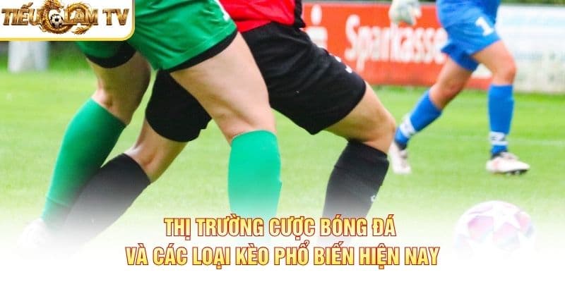 Thị Trường Cược Bóng Đá Thị Trường Cược Bóng Đá