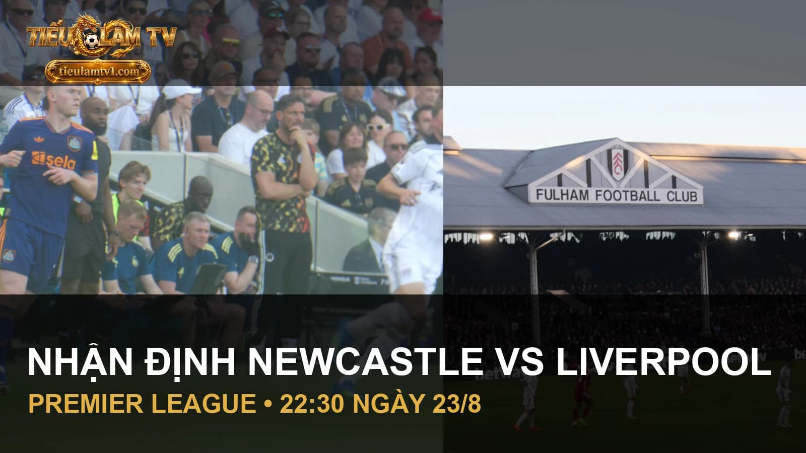 Newcastle United và Liverpool trong ảnh thi đấu năm 2026 Newcastle United và Liverpool trong ảnh thi đấu năm 2026