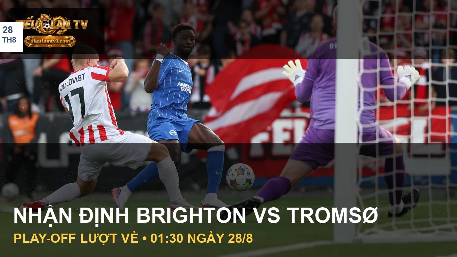 Cầu thủ Brighton và Tromsø thi đấu ở lượt đi Cầu thủ Brighton và Tromsø thi đấu ở lượt đi