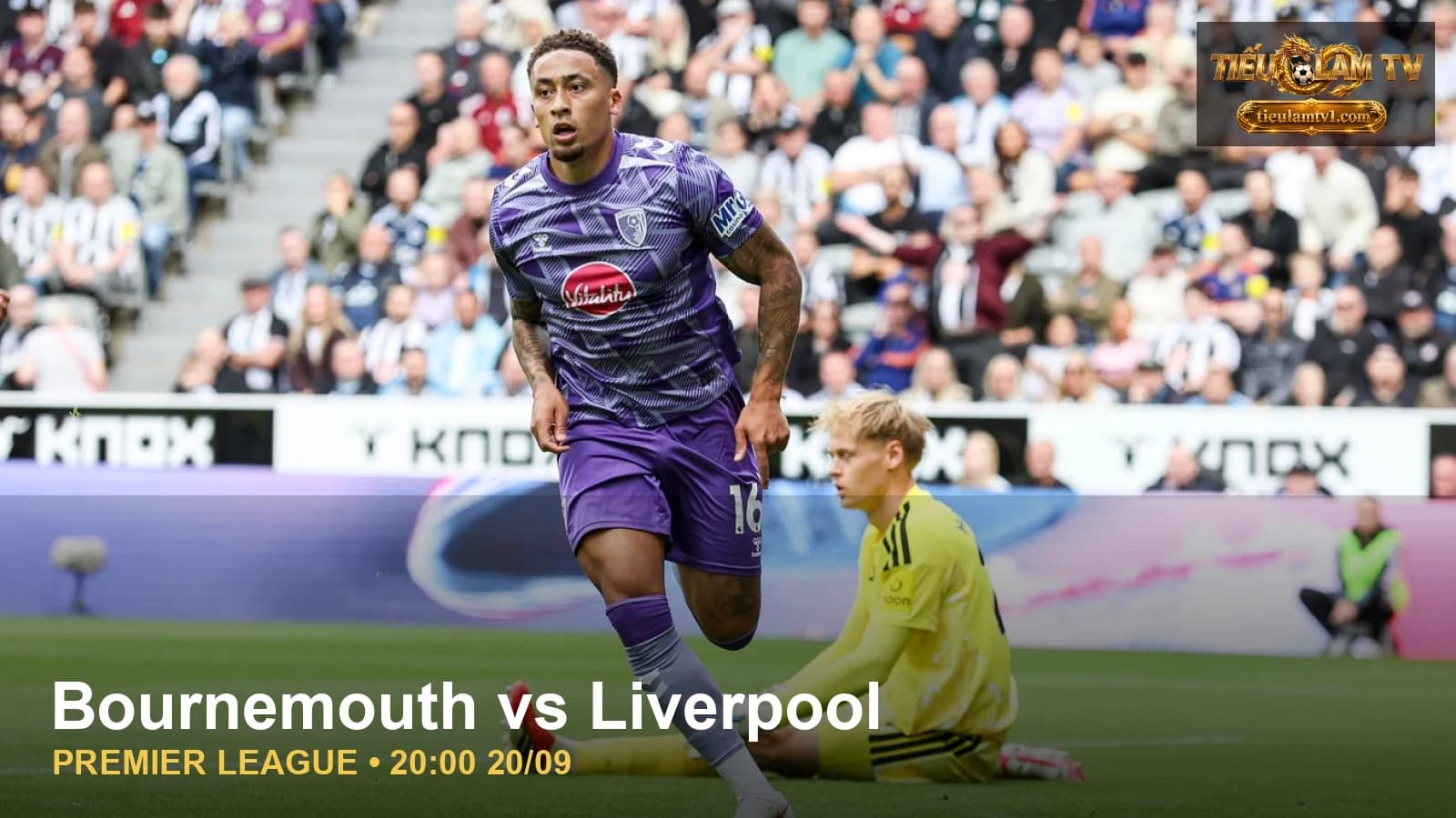 Bournemouth trước trận gặp Liverpool tại Premier League Bournemouth trước trận gặp Liverpool tại Premier League