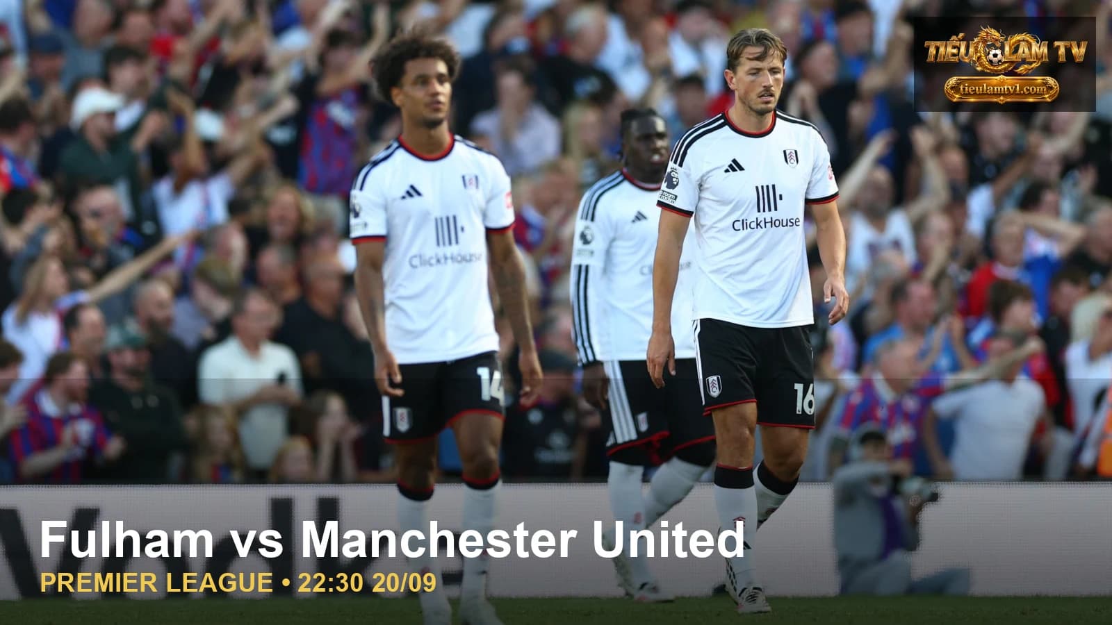 Cầu thủ Fulham trước trận tiếp Manchester United Cầu thủ Fulham trước trận tiếp Manchester United
