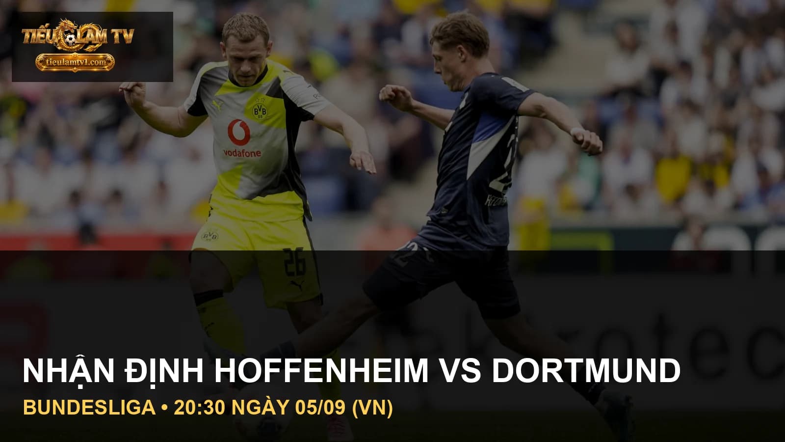 Cầu thủ TSG Hoffenheim vs Borussia Dortmund trong ảnh trận đấu thực tế Cầu thủ TSG Hoffenheim vs Borussia Dortmund trong ảnh trận đấu thực tế