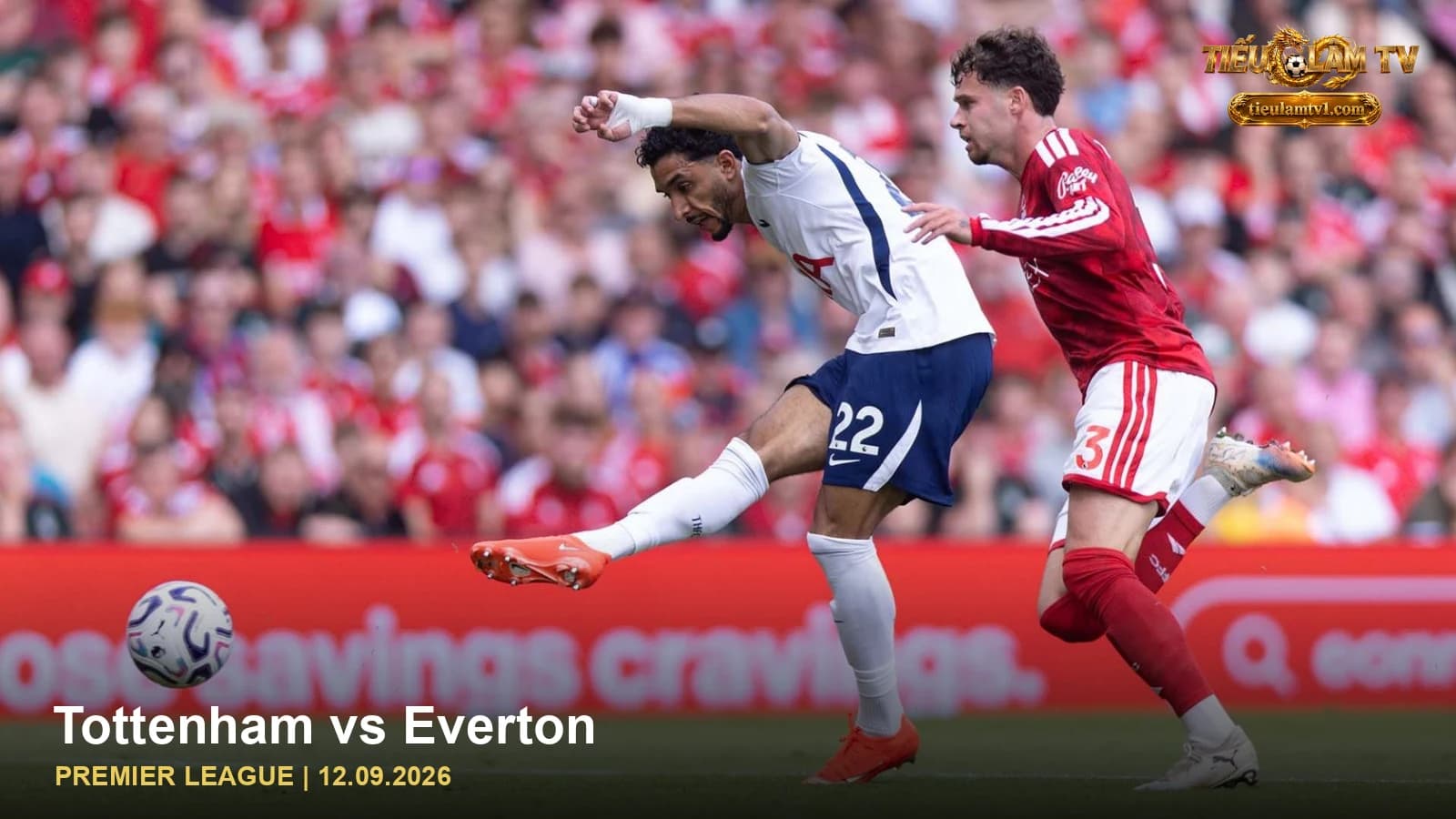 Tottenham vs Everton — ảnh cầu thủ trên sân Tottenham vs Everton — ảnh cầu thủ trên sân