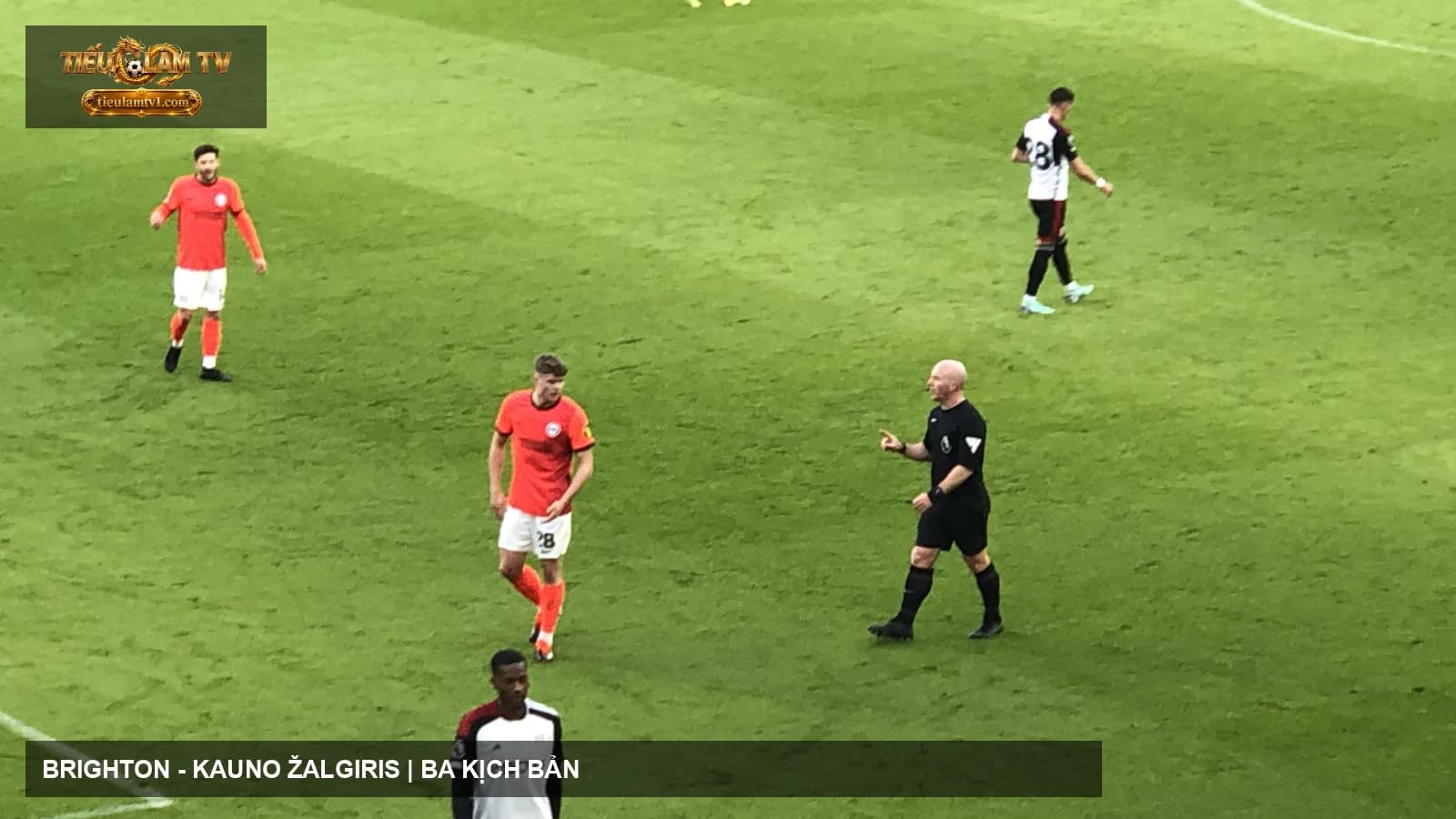 Cầu thủ Brighton & Hove Albion trong một trận Premier League Cầu thủ Brighton & Hove Albion trong một trận Premier League