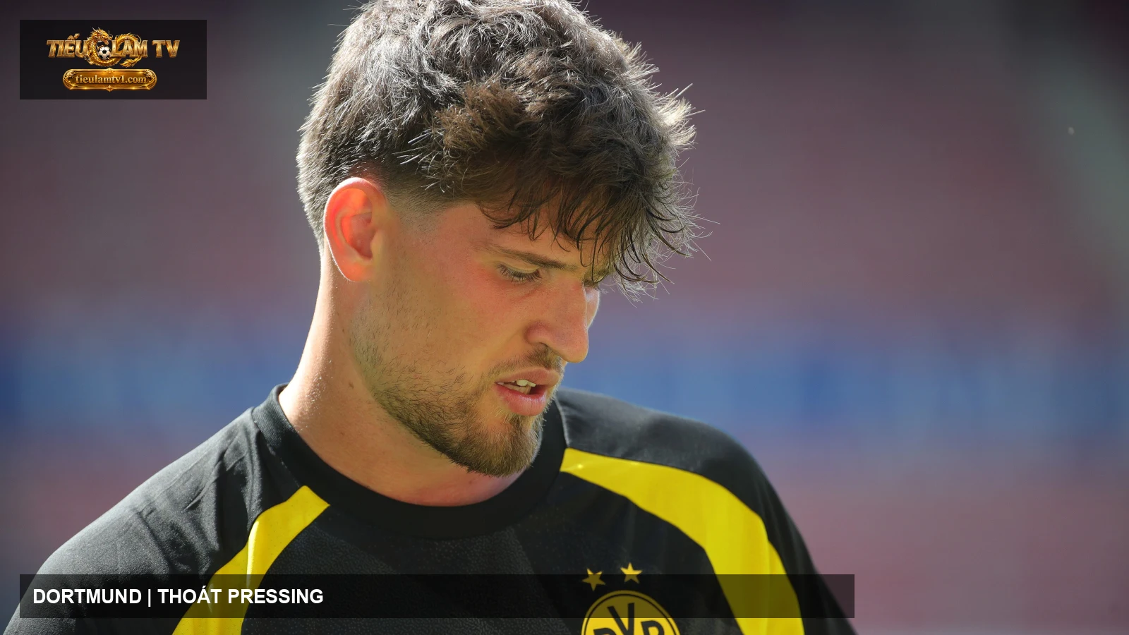 Borussia Dortmund thi đấu trên sân Borussia Dortmund thi đấu trên sân