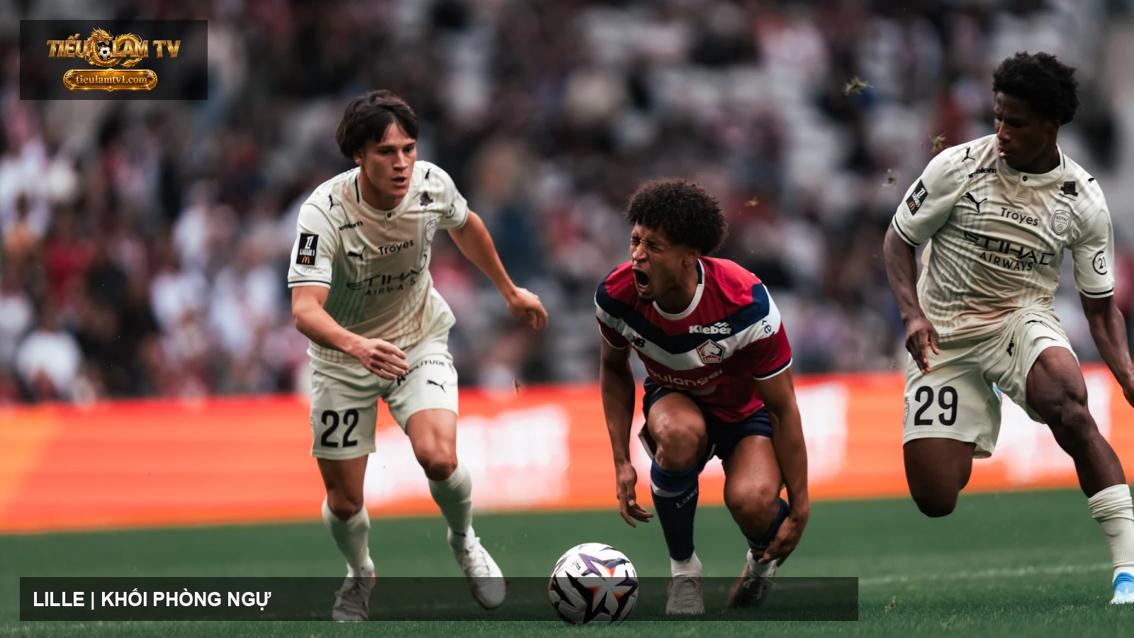 LOSC Lille thi đấu trong ảnh chính thức LOSC Lille thi đấu trong ảnh chính thức